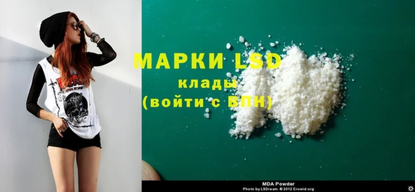 индика Апатиты