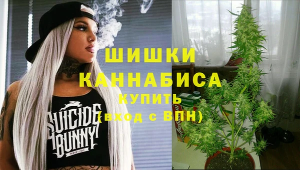 гидропоника Гусь-Хрустальный