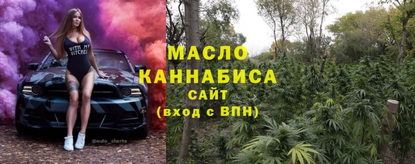 индика Апатиты