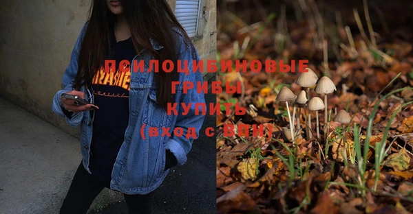 дурь Анжеро-Судженск