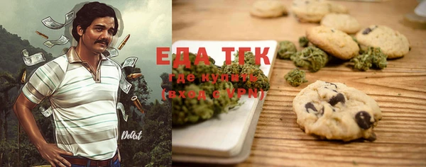 индика Апатиты